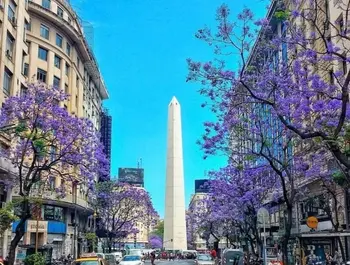 tour image 2